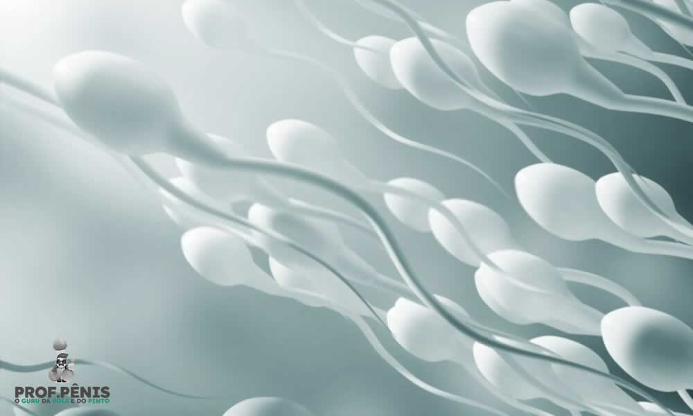 O que é Espermatozoide? Qual é a função e Onde são produzidos?